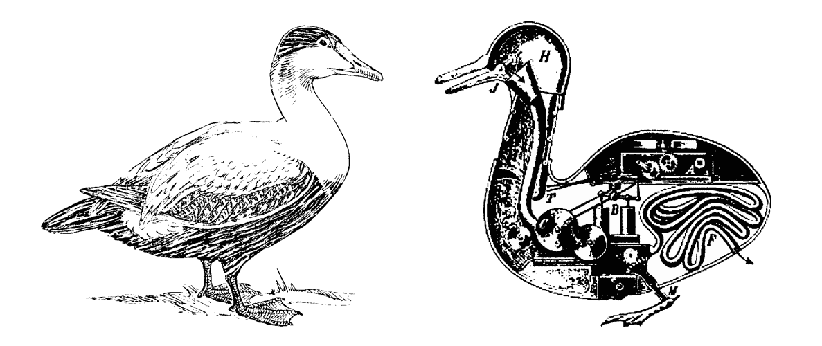 Due anatre disegnate in bianco e nero, si fronteggiano: quella a sinistra è un'anatra bianca, normale, quella a destra è il disegno dell'anatra meccanica digerente, pubblicato nel 1899 su una rivista scientifica americana. L'anatra meccanica è una scultura vivente in bronzo realizzata nel Settecento da Jacques de Vaucanson